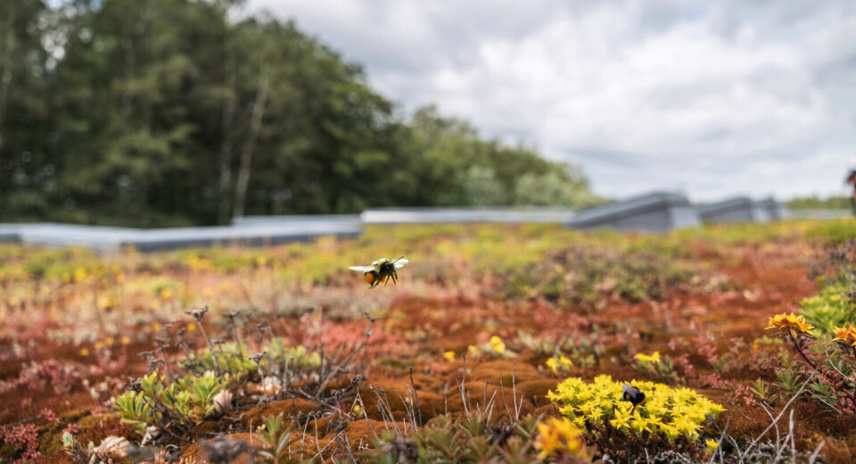 Bærekraft uten kompromiss
