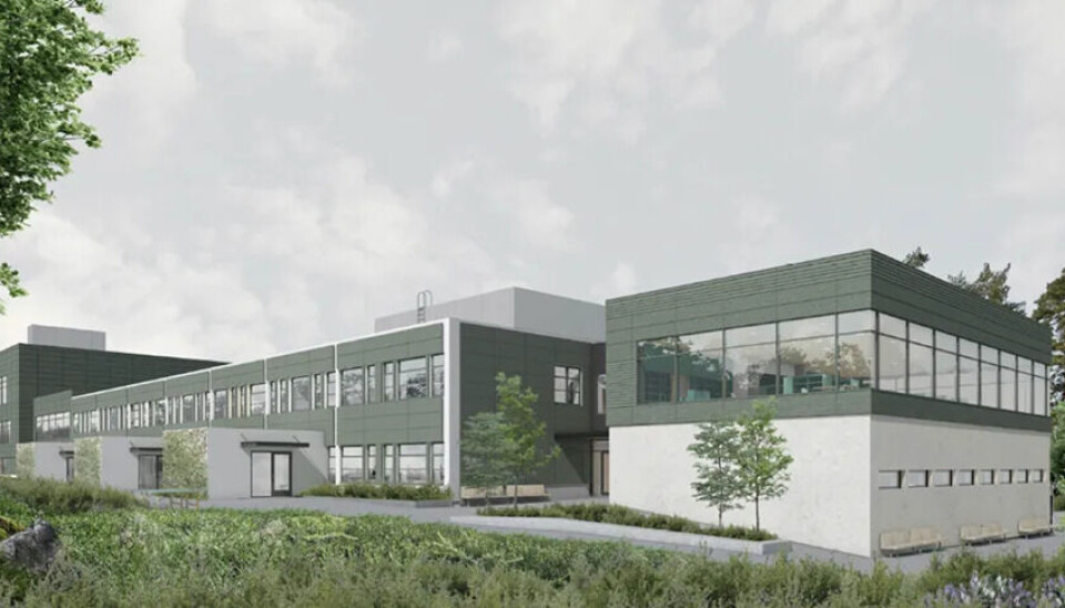 Vedal Entreprenør rehabiliterer og utvider Ellingsrud skole i Oslo i et utslippsfritt prosjekt for Oslobygg. Illustrasjon: Arkitektkontoret GASA