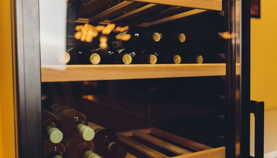 Oppussingstips for vinelskere