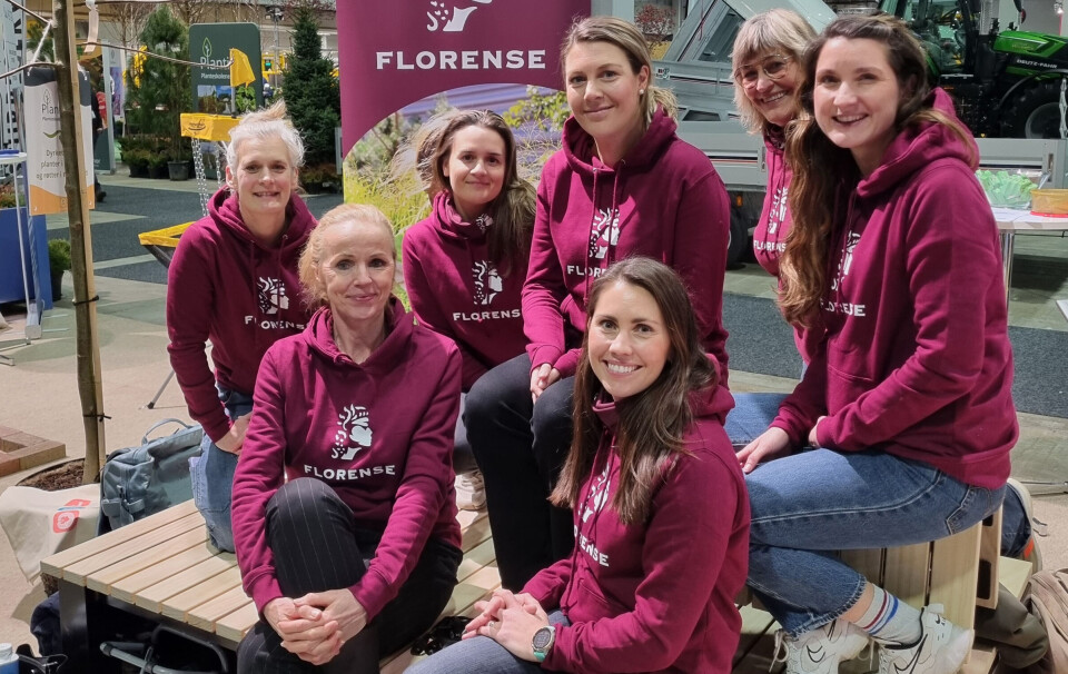 Styret i Florense på Park- og anleggsmessen, hvor nettverket ble lansert 27. november 2024. Bak fra venstre: Ida Tindeskog (Naml), Silje Grimstad, (A. Markussen), Marthe Sandved (Agaia), Merete Bellingmo (Naml) og nestleder Bea Rosted (Agaia). Foran fra venstre: Svanhild Blakstad (Agaia) og styreleder Vaar Havnelid (Skaaret landskap). Foto: Florense Styret i Florense på Park- og anleggsmessen, hvor nettverket ble lansert 27. november 2024. Bak fra venstre: Ida Tindeskog (Naml), Silje Grimstad, (A. Markussen), Marthe Sandved (Agaia), Merete Bellingmo (Naml) og nestleder Bea Rosted (Agaia). Foran fra venstre: Svanhild Blakstad (Agaia) og styreleder Vaar Havnelid (Skaaret landskap). Foto: Florense