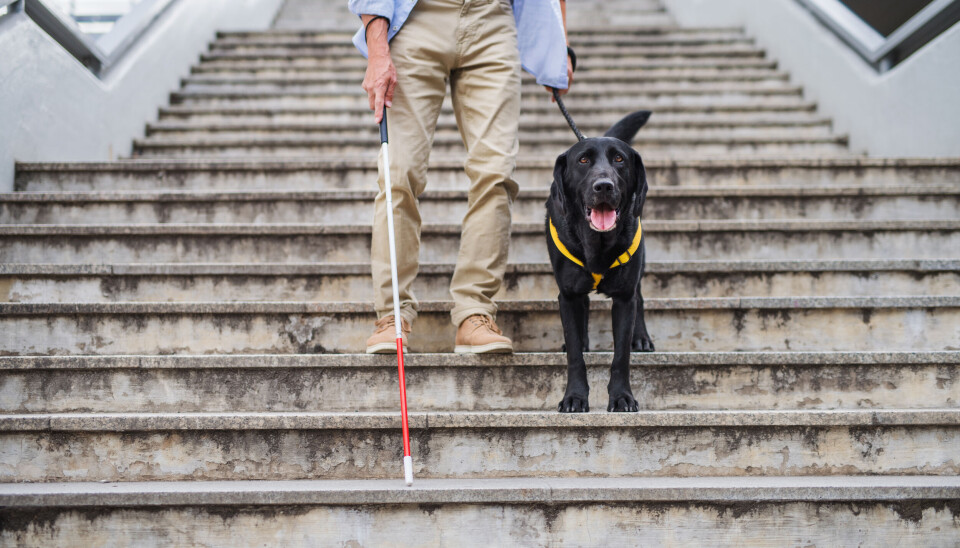 Illustrasjonsfoto: Colourbox Illustrasjonsfoto: Colourbox