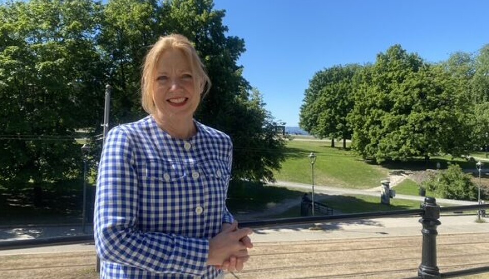 Styreleder Ingjerd Aaraas i Add arkitekter. Foto: Add arkitekter Styreleder Ingjerd Aaraas i Add arkitekter. Foto: Add arkitekter