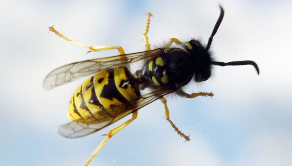 Illustrasjonsfoto: Paul Kleiven / NTB