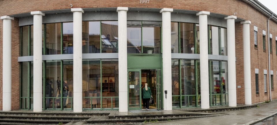 Vil varetektsfengsle arkitekt