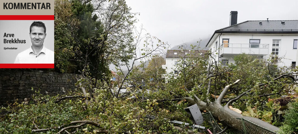 Når sier forsikringsselskapene stopp?