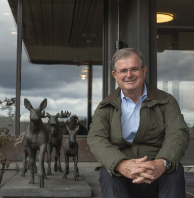 Byggevaresjefen er skogens konge