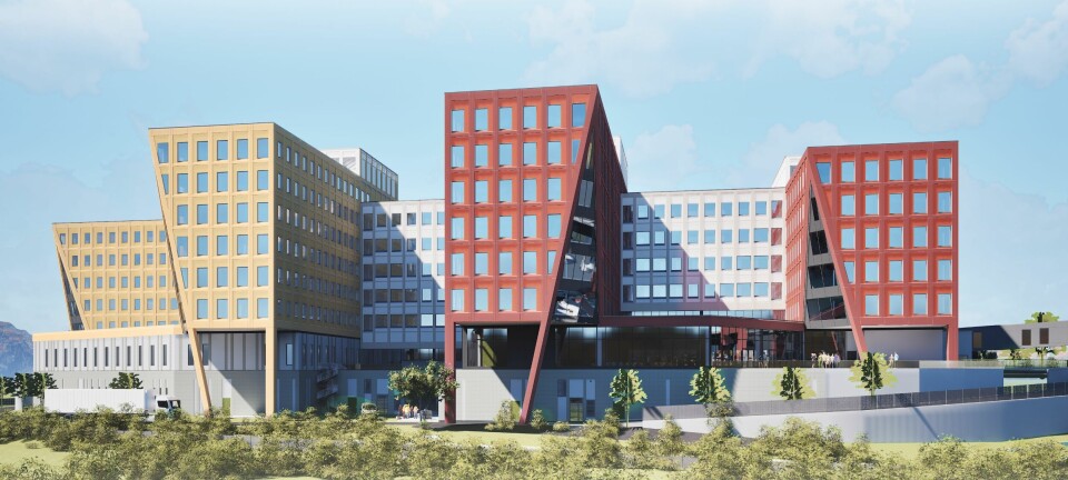 Vant stor-kontrakt for Veidekke