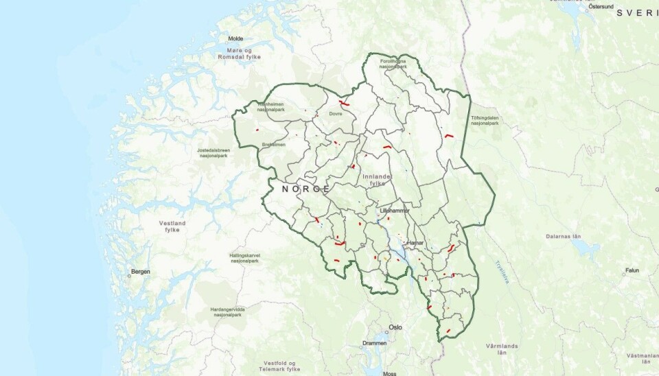 Kartet viser det store veifylket Innlandet, og de røde punktene er prosjekter som er prioritert i handlingsprogrammet for fylkesveiene 2026-2029. Kart: Innlandet