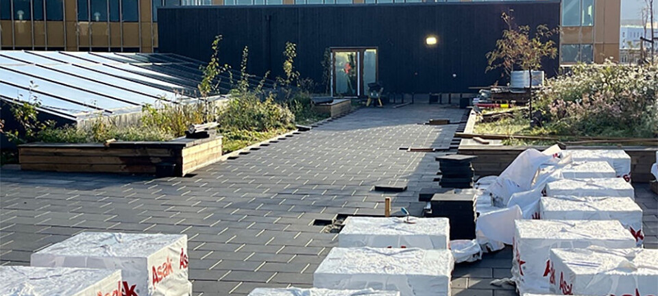 Bygger takhage med betongheller fra pilotproduksjon