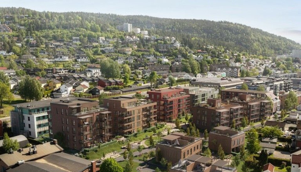 Hotvetalléen. Illustrasjon: Places