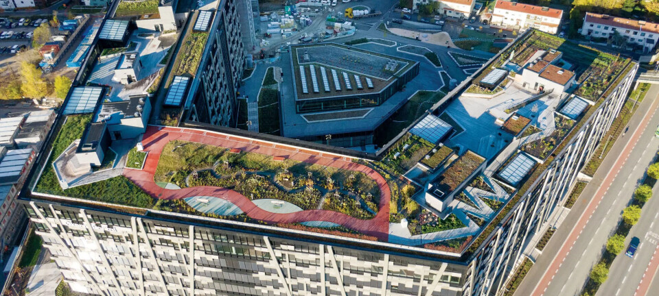 Oslo-prosjekt fikk for pris verdens beste takhage