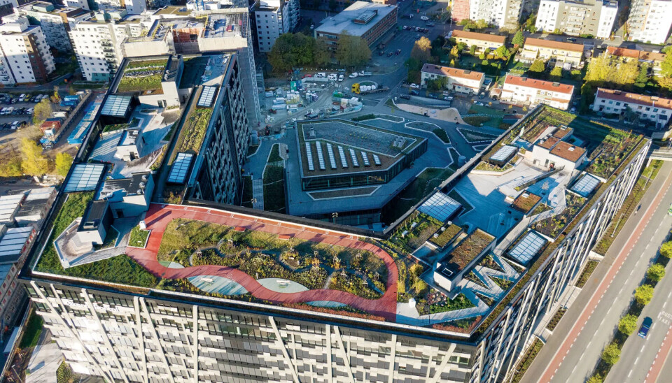 Takhagen på Økern Portal i Oslo. Foto: Sindre Sverdrup Strand