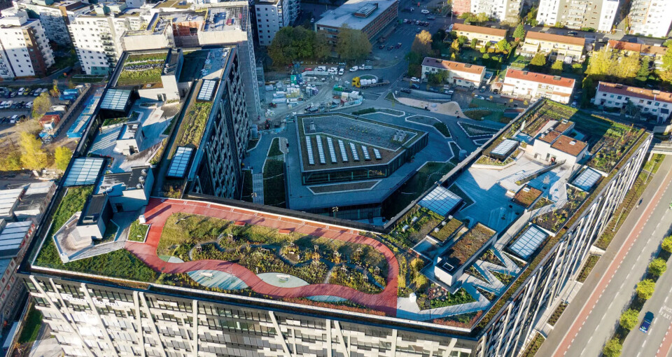 Oslo-prosjekt fikk pris for verdens beste takhage