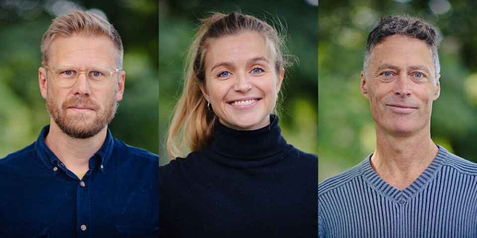 Innlegg: Nullutslippsbetong – en grågrønn illusjon fra Norge?