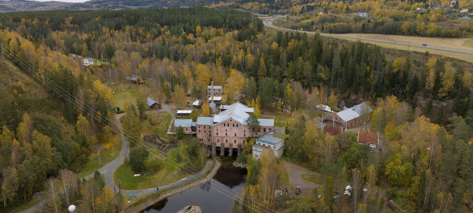 Freder Skandinavias best bevarte tresliperi