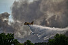 Et vannbombefly slipper vann over en skogbrann med store røykskyer over trærne.