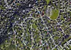 Flyfoto av et tett boligområde med hus, veier, hager og grønne arealer.