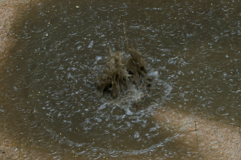 Illustrasjonsfoto: Sindre Sverdrup Strand