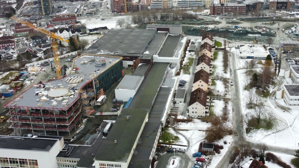 Professor Mørchs hus ses nede til venstre. Grunnarbeidene til Bassengbygget foregår lenger opp på bildet. Professor Mørchs hus ses nede til venstre. Grunnarbeidene til Bassengbygget foregår lenger opp på bildet. Foto: Marius Lysø