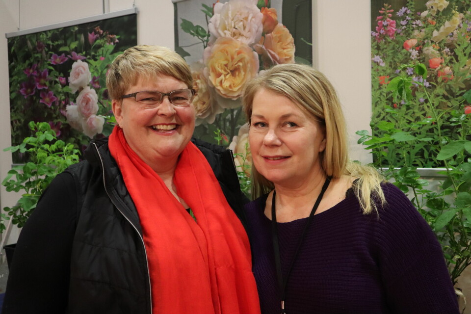 Roseforeningen på Hagemessen 2019. Foto: Svanhild Blakstad