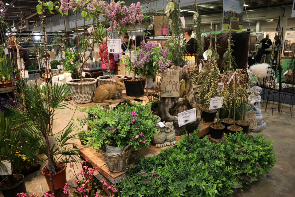 Hagemessen 2019 - 7. april. Foto: Svanhild Blakstad