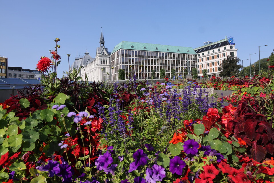 Utenriksdepartementet skal ut av Victoria terrasse, og en nedskalering av det nye regjeringskvartalet får ingen konsekvenser for disse planene, sier Statsbygg. Utenriksdepartementet skal ut av Victoria terrasse, og en nedskalering av det nye regjeringskvartalet får ingen konsekvenser for disse planene, sier Statsbygg. Foto: Geir Olsen / NTB