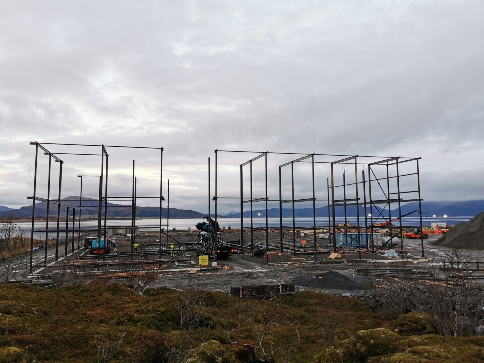 I løpet av 4-5 uker vil lakseslakteriets hovedkonstruksjon med rundt 600 tonn stål komme på plass. Det er Robertson Nordisk som har stålkontrakten med Sortland Entreprenør, og de samarbeider med IPOA på stålleveransen. I løpet av 4-5 uker vil lakseslakteriets hovedkonstruksjon med rundt 600 tonn stål komme på plass. Det er Robertson Nordisk som har stålkontrakten med Sortland Entreprenør, og de samarbeider med IPOA på stålleveransen. Foto: Sortland Entreprenør