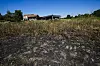 Hetebølgen som rammet Italia i starten av juli, rammet jordbruksbønder. Fraværet av nedbør og ekstrem varme tørket ut deler av avlingene. Foto: Luca Bruno / AP / NTB