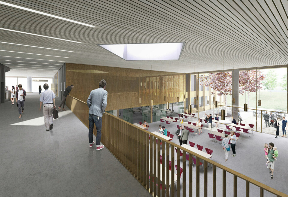 Illustrasjon: Knut Longva