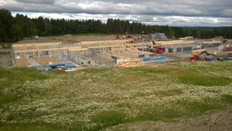 Foto: Jan Sigurd Pettersen / NMBU