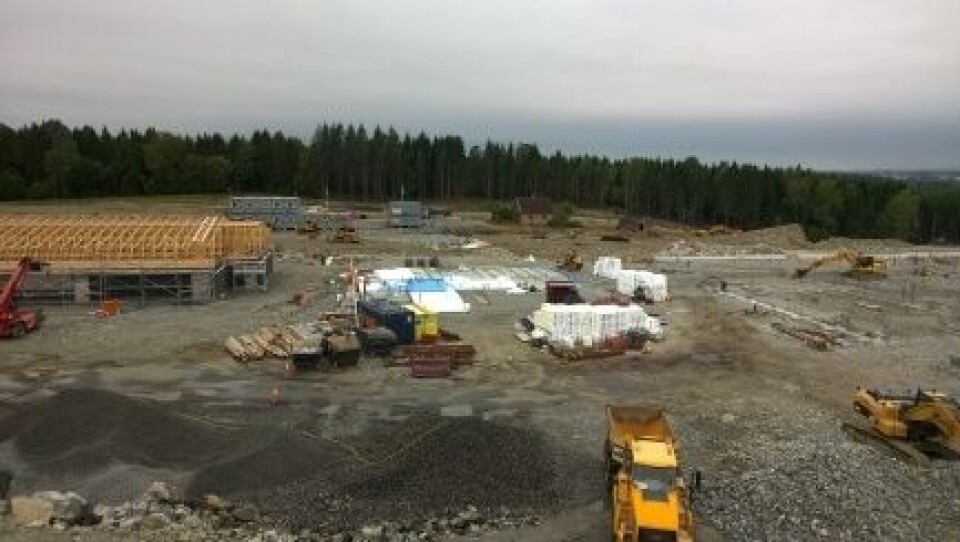 Foto: Jan Sigurd Pettersen / NMBU