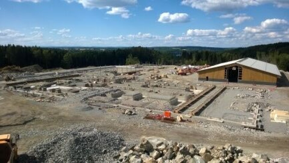 Foto: Jan Sigurd Pettersen / NMBU