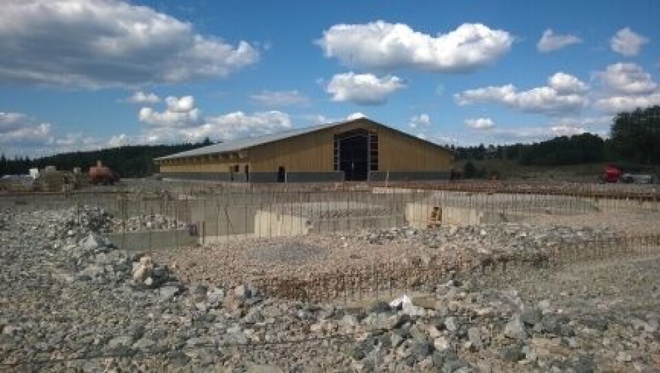 Foto: Jan Sigurd Pettersen / NMBU