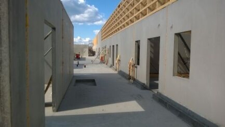 Foto: Jan Sigurd Pettersen / NMBU