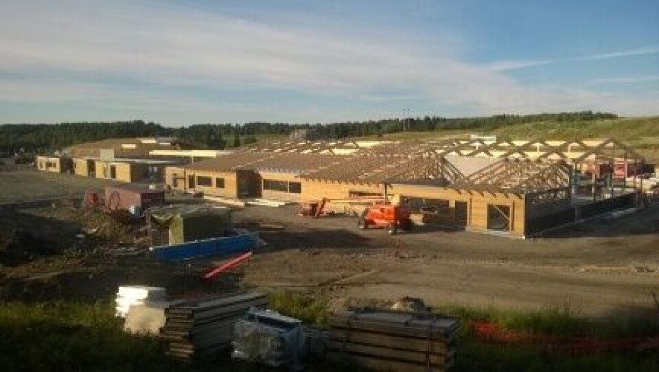 Foto: Jan Sigurd Pettersen / NMBU