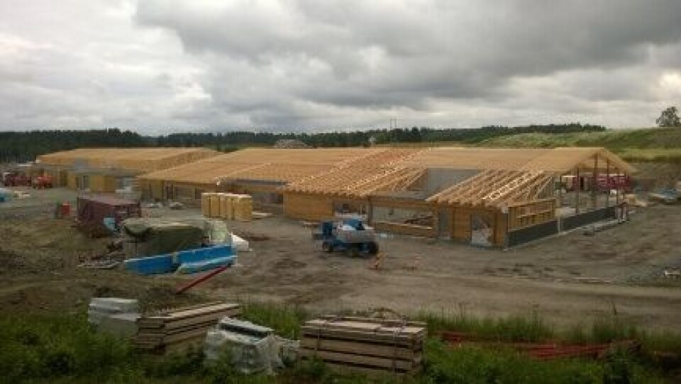 Foto: Jan Sigurd Pettersen / NMBU