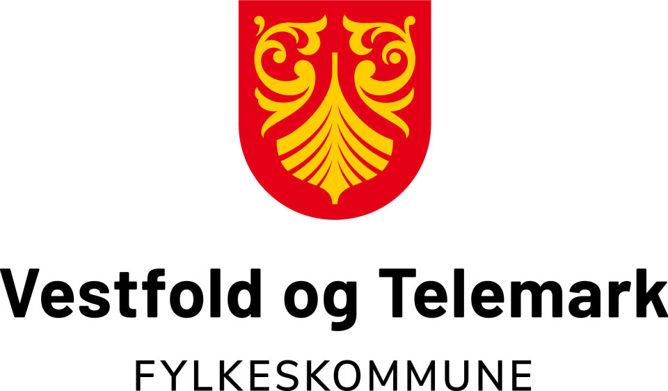 Prosjektstyrer - Seksjon Utbygging