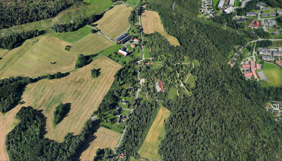 Tanumplatået i Bærum.