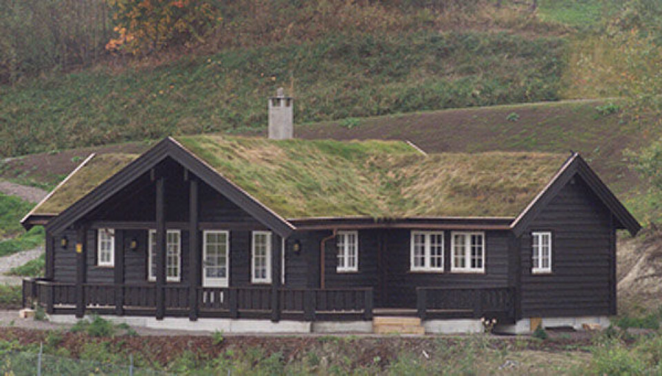 Prisøkning for hytter