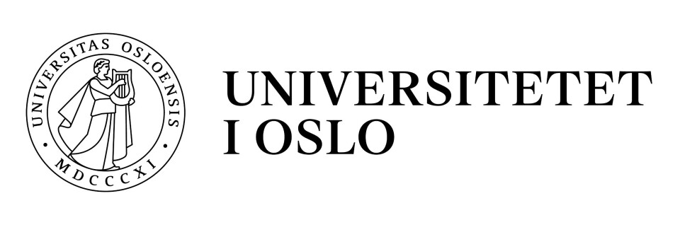 Delprosjektleder / senioringeniør for flytteprosess