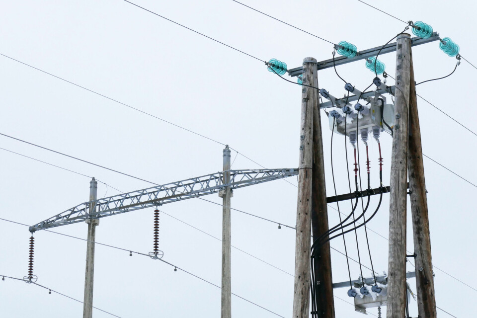 Den norske strømprisen var aldri over 10 øre per kWh i forrige uke