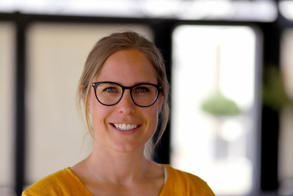 Kari Befring Bjørnstad, fagdirektør i Direktoratet for byggkvalitet.