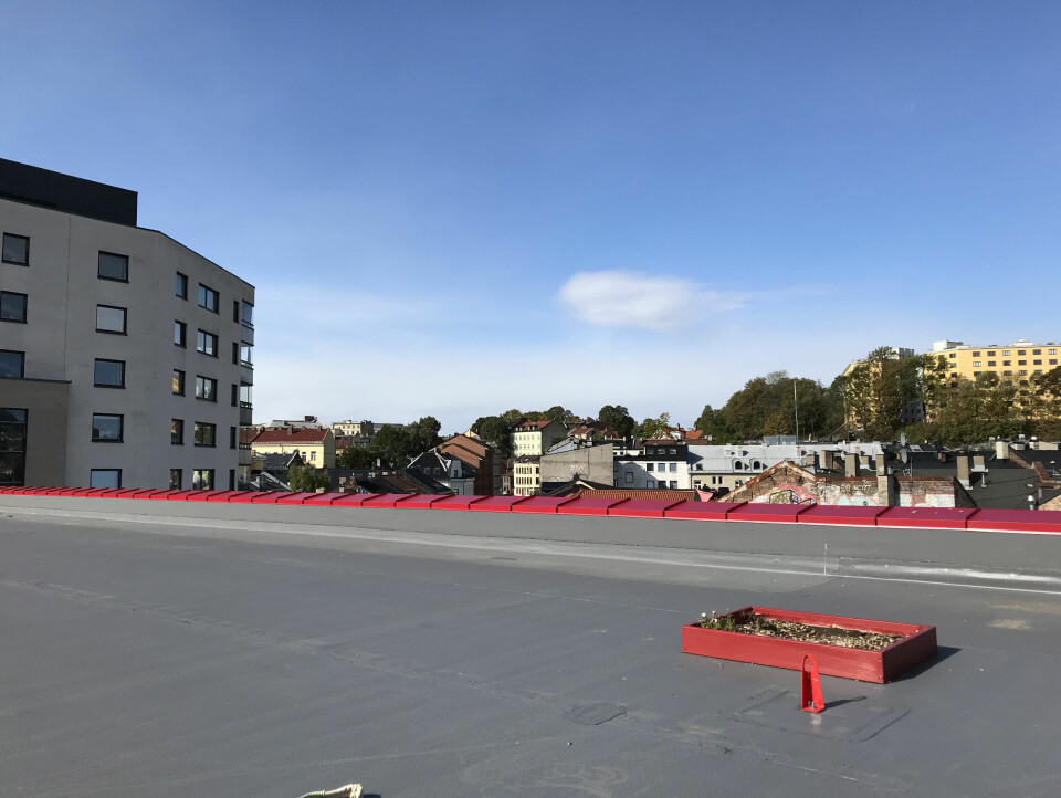 Foreløpig er taket på Vega Scene belagt med Protans unike BlueProof-løsning som løser problemet med overvann, men snart skal natur tilsvarende den du finner på Hovedøya i Oslofjorden gjenskapes her, midt i byen.