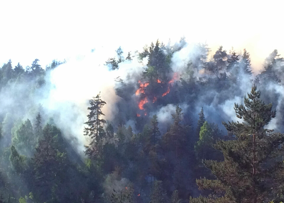 Skogbrann i Skien ikke helt slukket