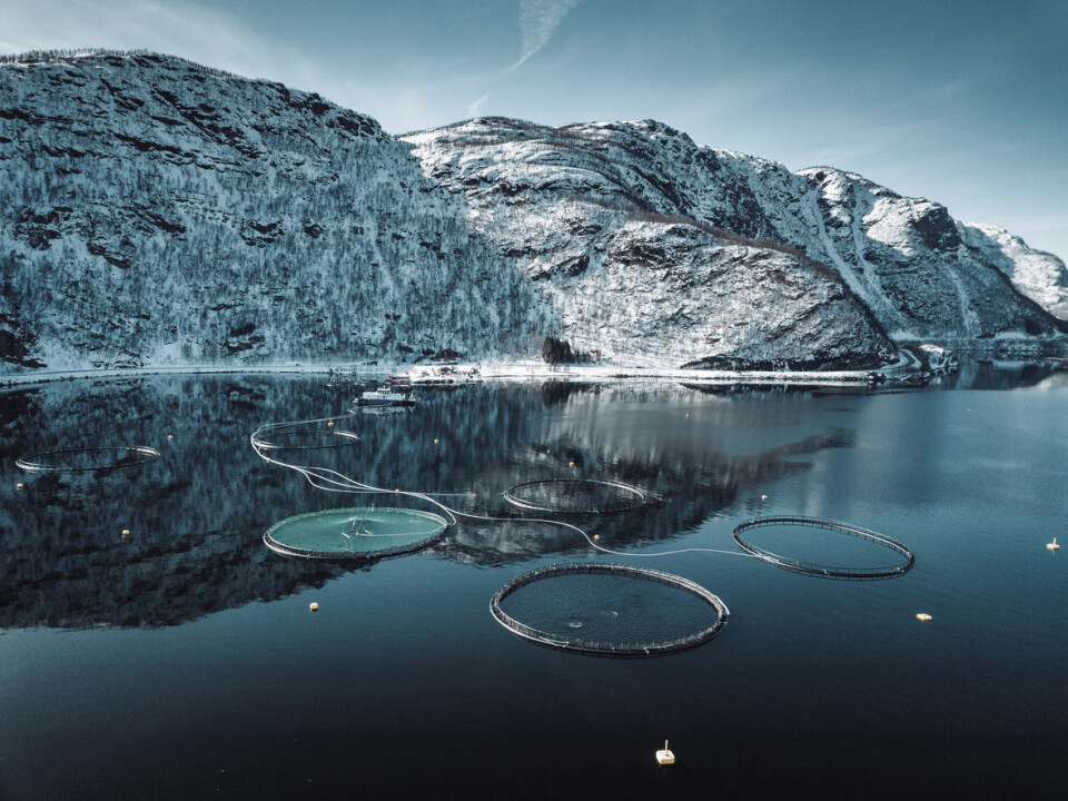 I det ville og arktiske landskapet i Finnmark, med bratte fjell og islagte fjorder, er forholdene ideelle for oppdrett av sunn, norsk kvalitetsfisk. Det er her, under tøffe værforhold og lange vintre, at Grieg Seafood har iverksatt sitt første konkrete prosjekt for å kutte plastforbruket.